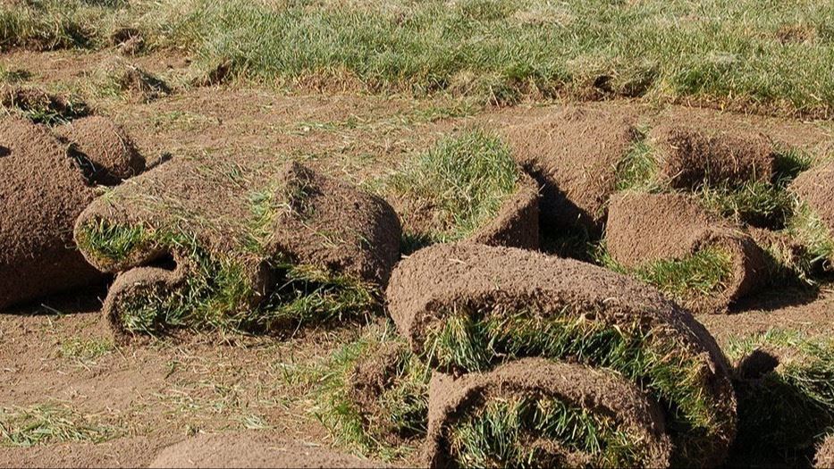 turf removal, turf rolled up